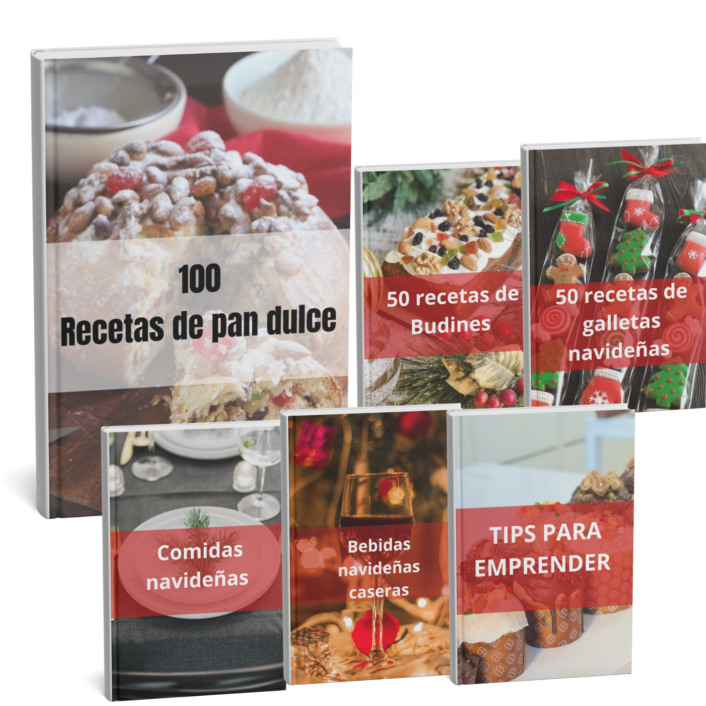Pack navideño 100 recetas de pan dulce